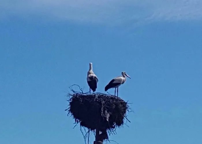 Villa Pri Shtarkela Brodilovo